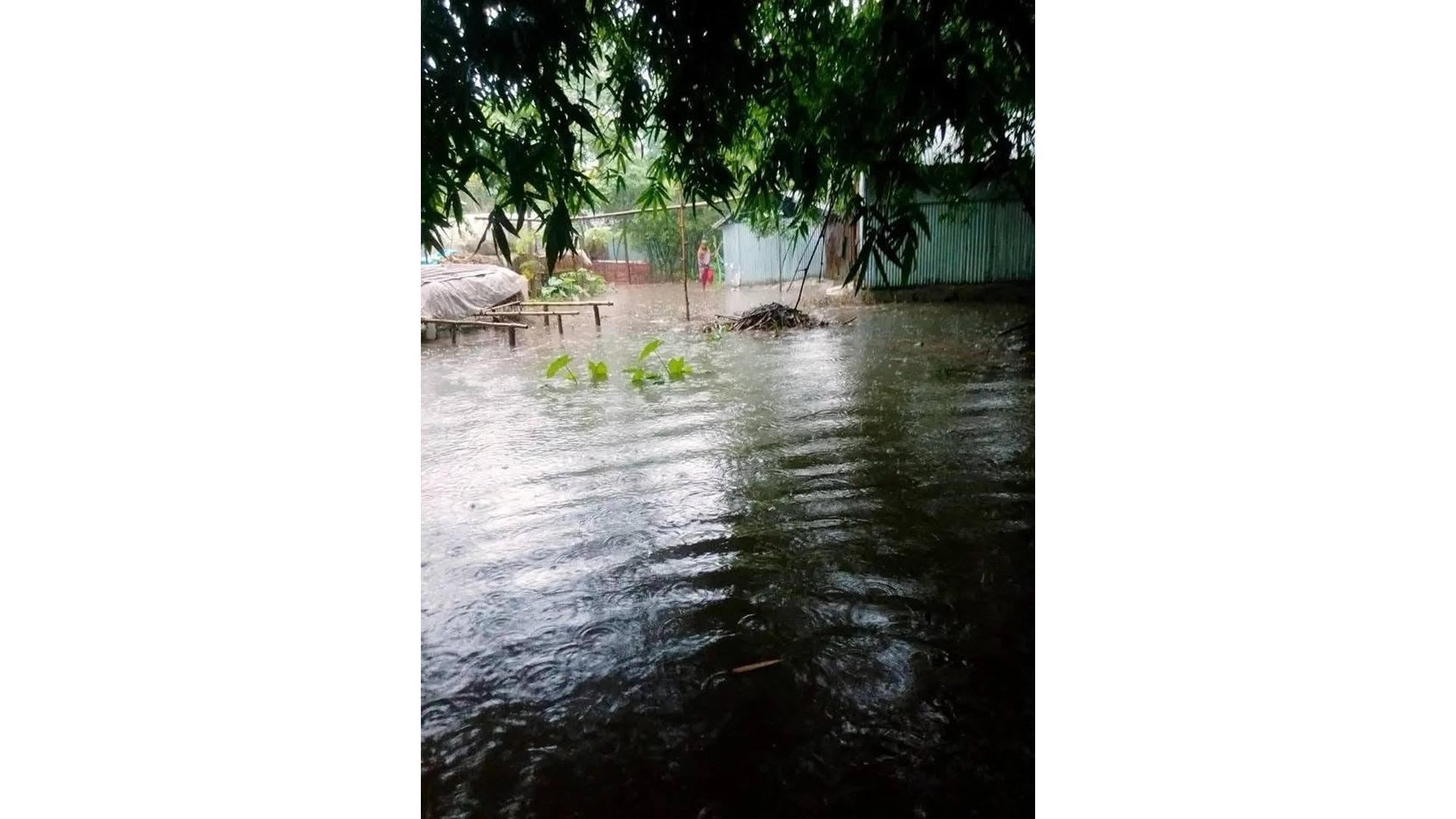 উজানের ঢল কমে যাওয়ায় রংপুরে তিস্তা নদীর পানি কমতে শুরু